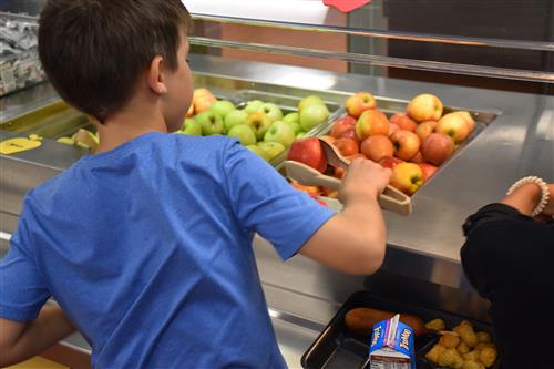 boy serving apples on his lunch tray 